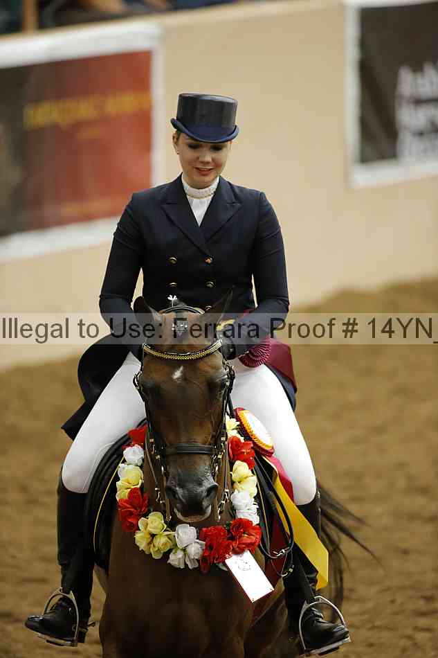Proof 14yn_20093