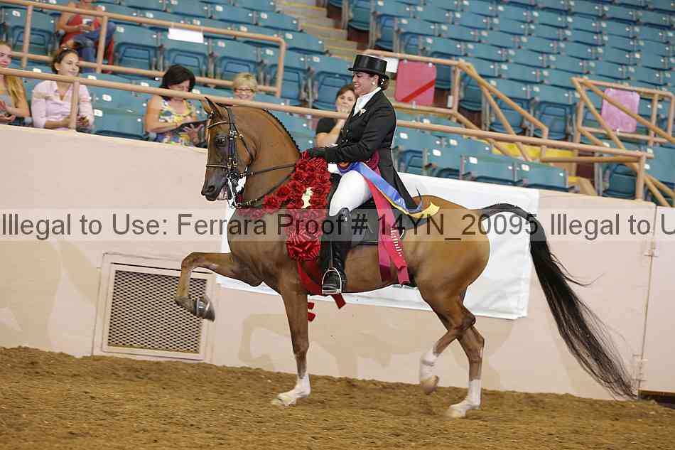 Proof 14yn_20095