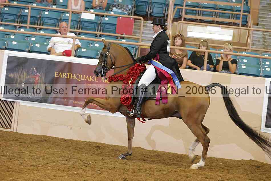 Proof 14yn_20096