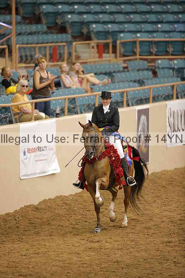 Proof 14yn_20098
