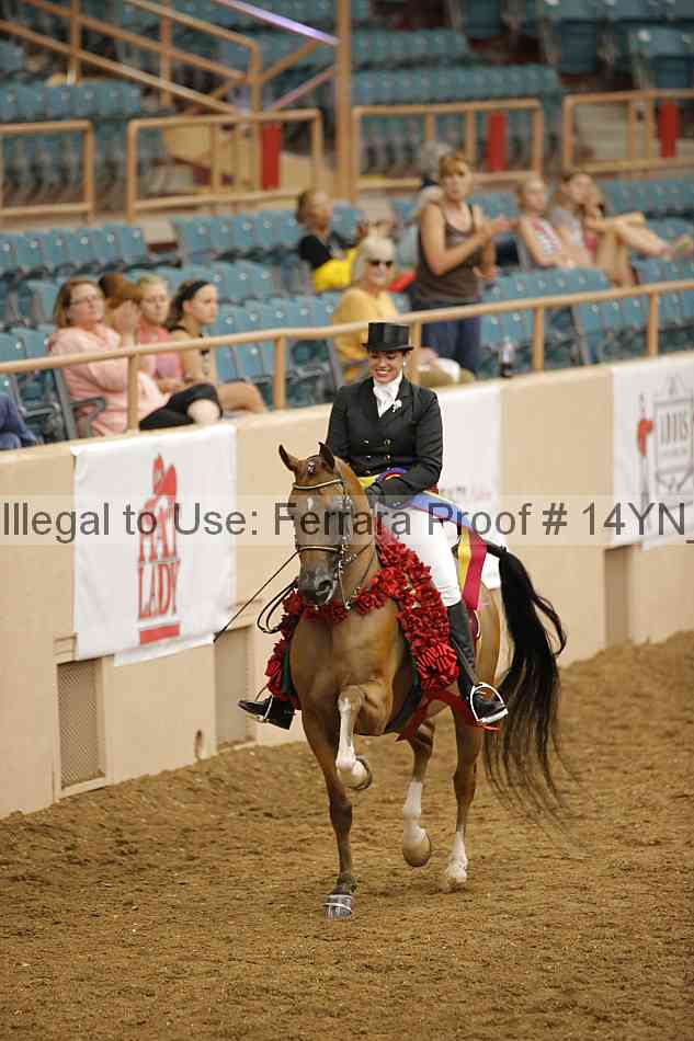 Proof 14yn_20100