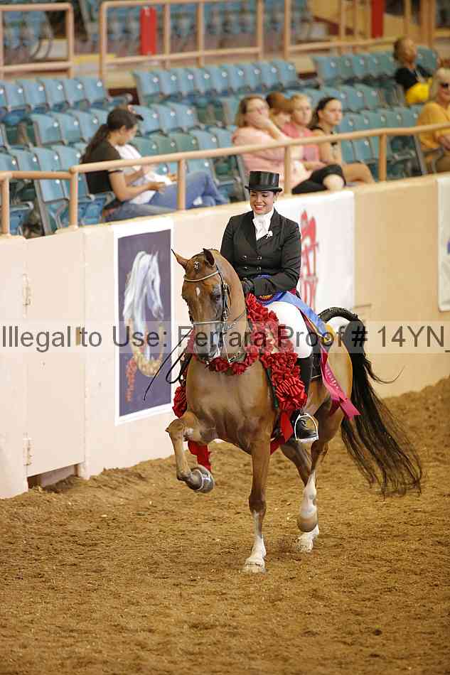 Proof 14yn_20101