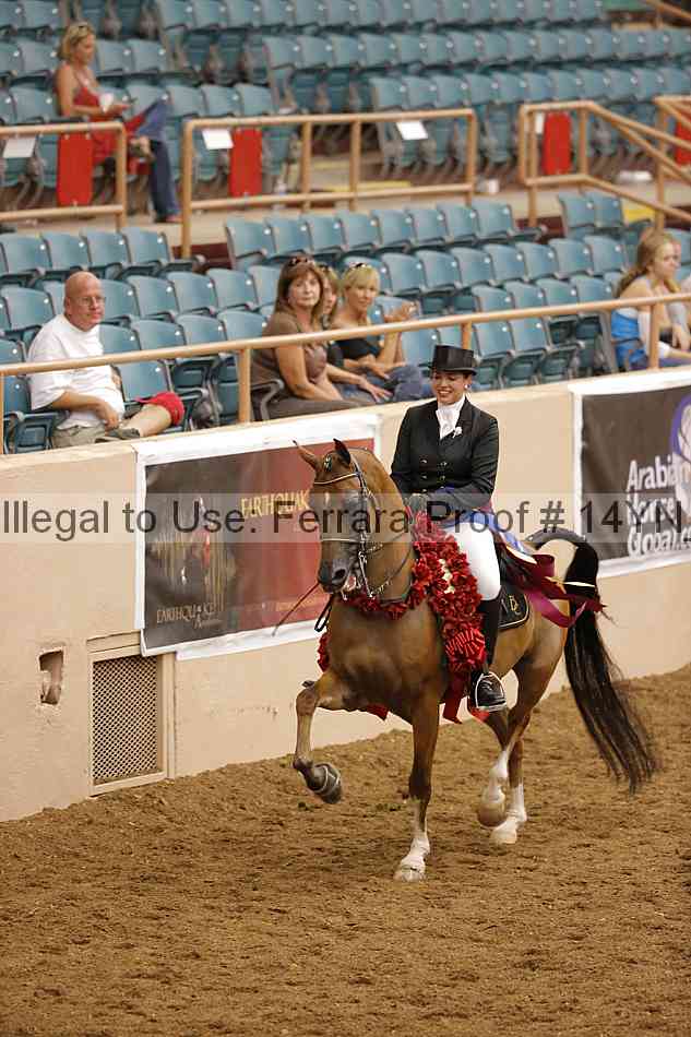 Proof 14yn_20102