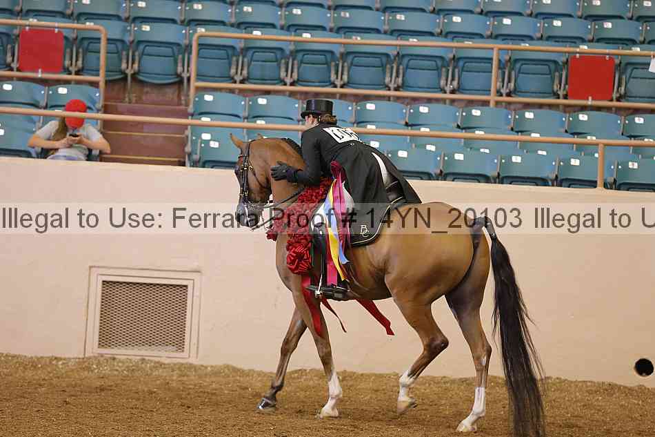Proof 14yn_20103