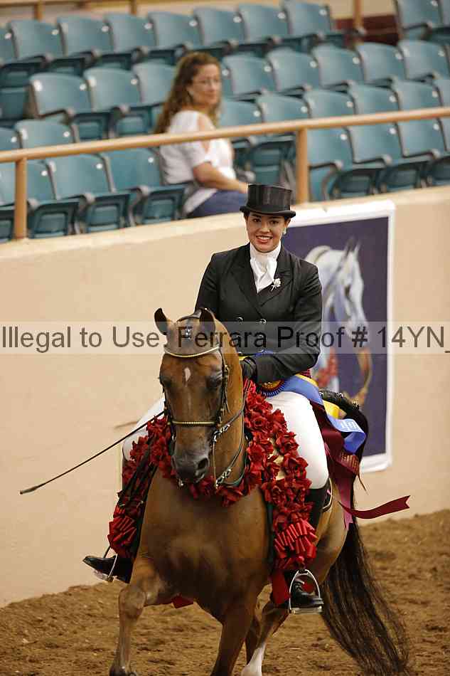 Proof 14yn_20106