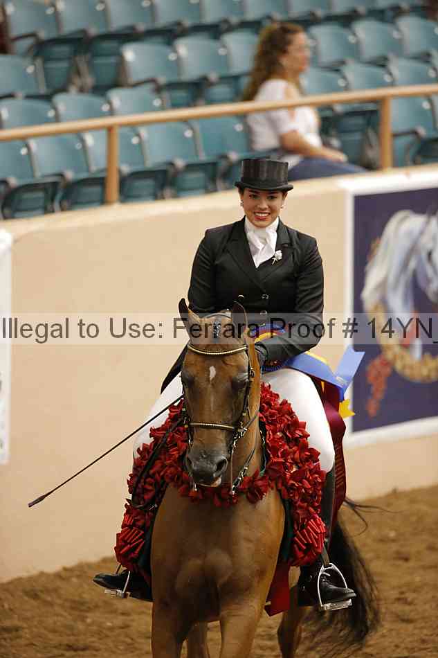 Proof 14yn_20107