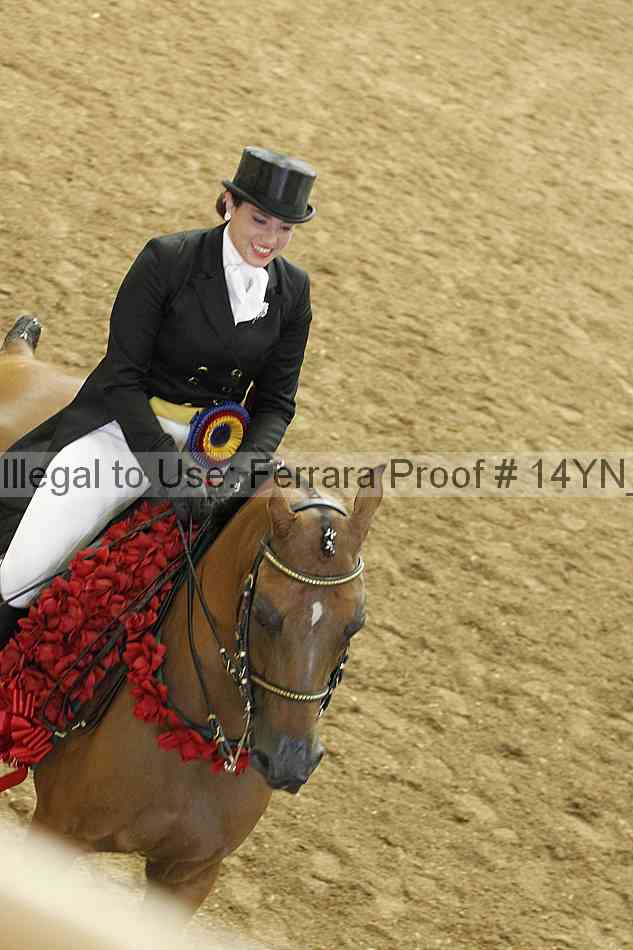 Proof 14yn_20108