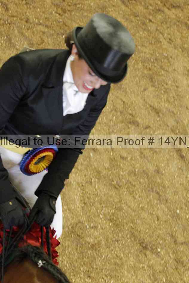 Proof 14yn_20110