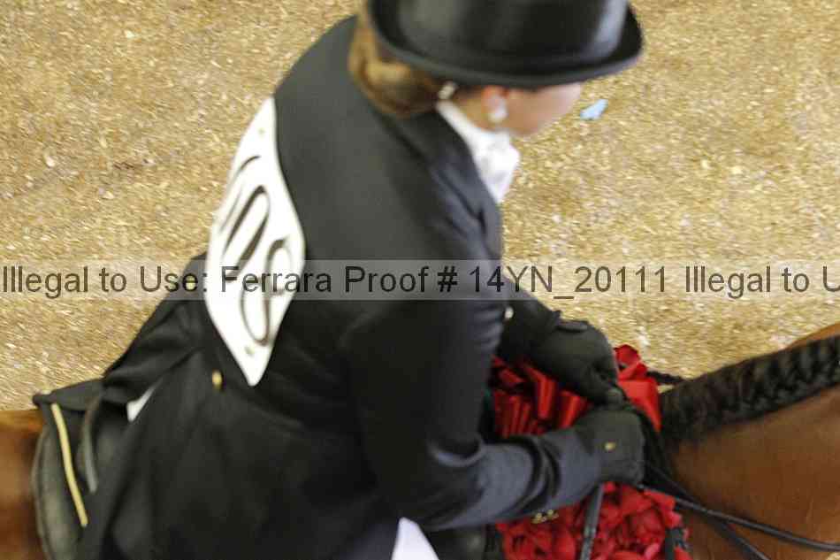 Proof 14yn_20111