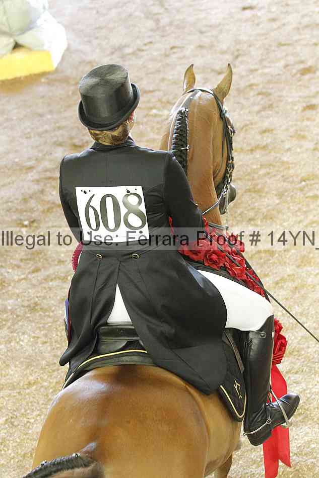 Proof 14yn_20113