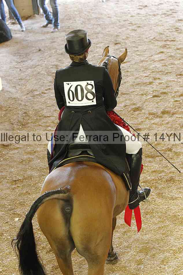 Proof 14yn_20114