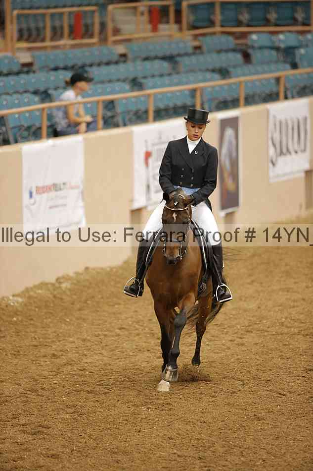 Proof 14yn_10291