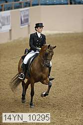 14yn_10295 proof