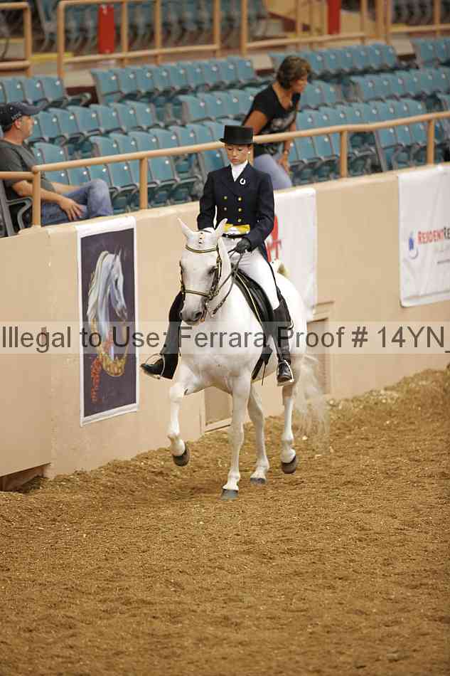 Proof 14yn_10303