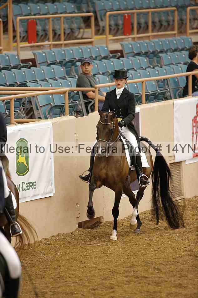 Proof 14yn_10305