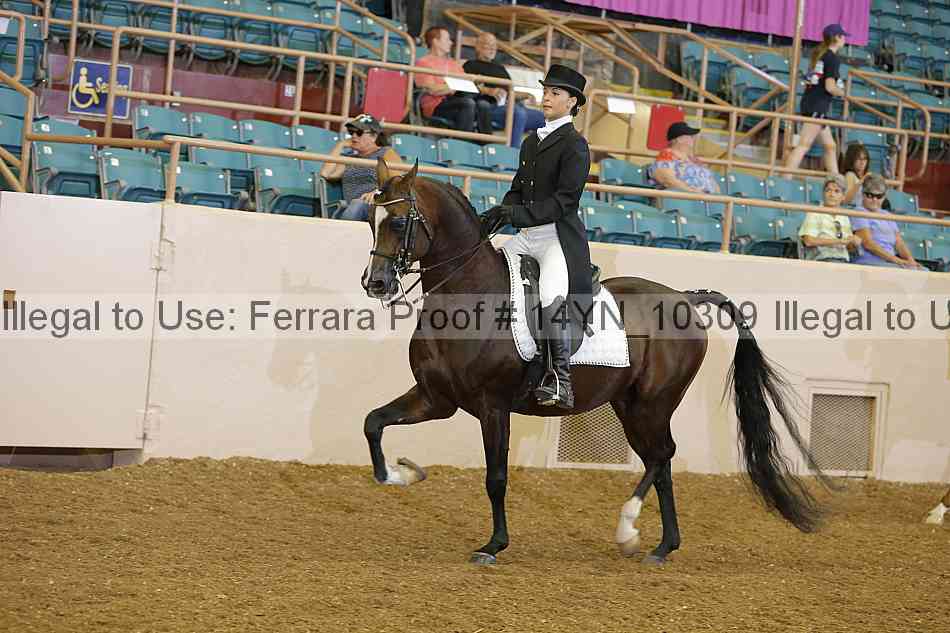 Proof 14yn_10309