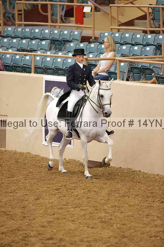 Proof 14yn_10314