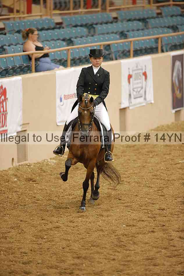 Proof 14yn_10358