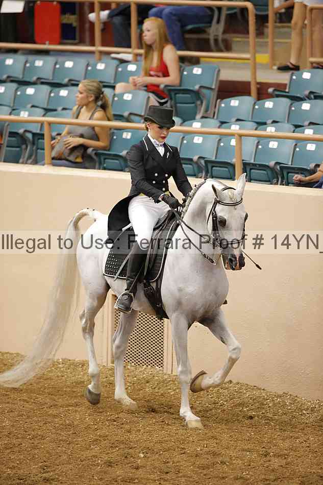 Proof 14yn_10394