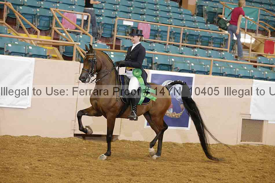 Proof 14yn_10405