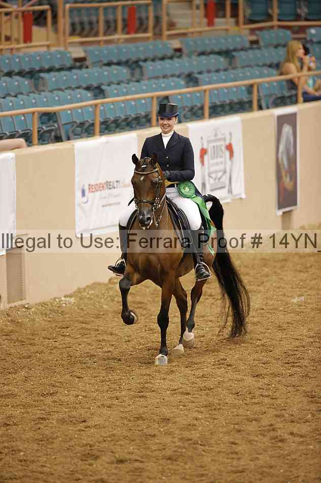 Proof 14yn_10406