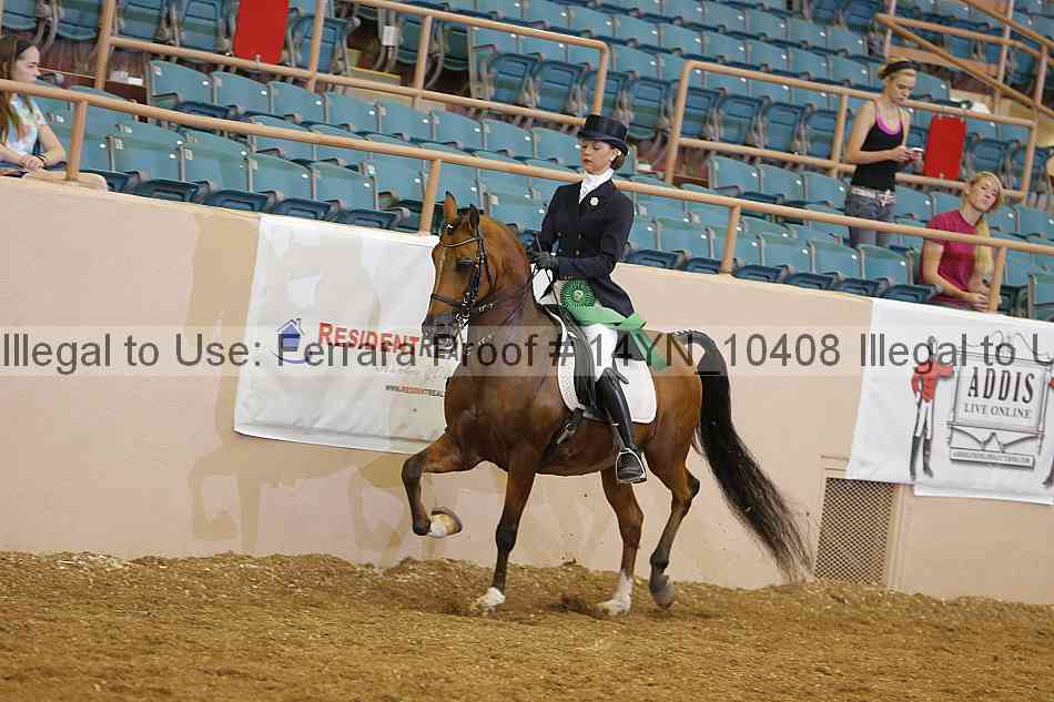 Proof 14yn_10408