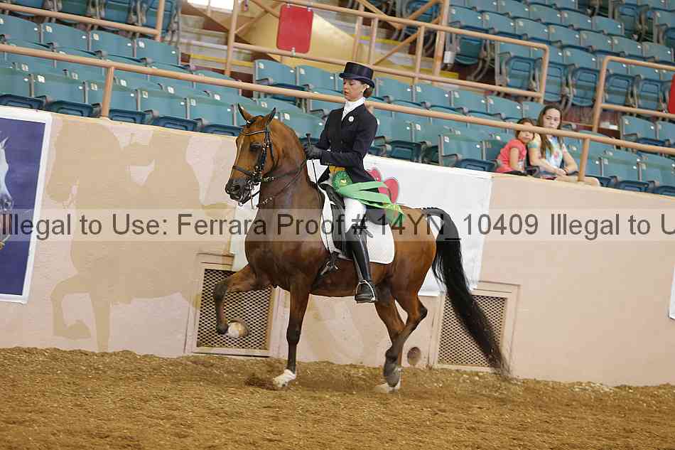 Proof 14yn_10409