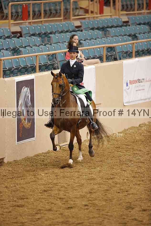 Proof 14yn_10411