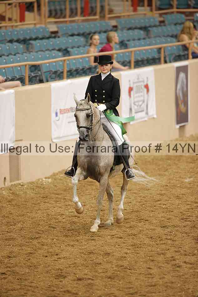 Proof 14yn_10415