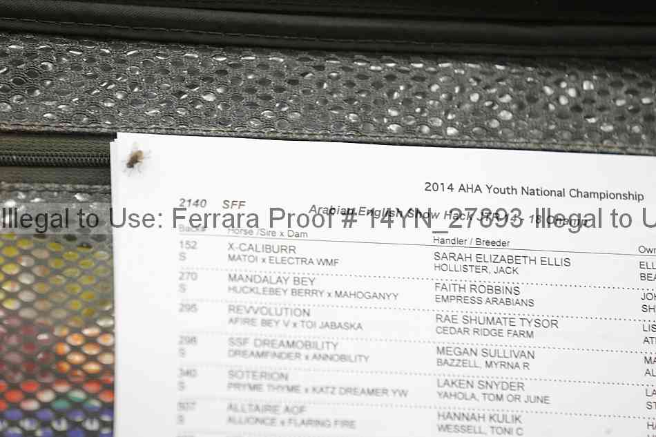 Proof 14yn_27893