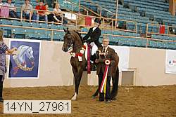 14yn_27961 proof