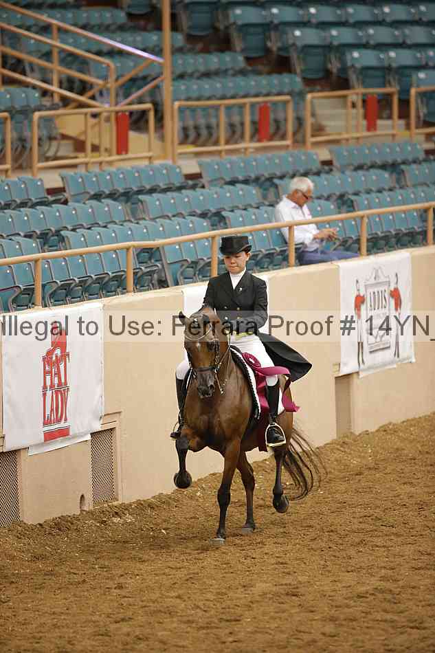 Proof 14yn_28005