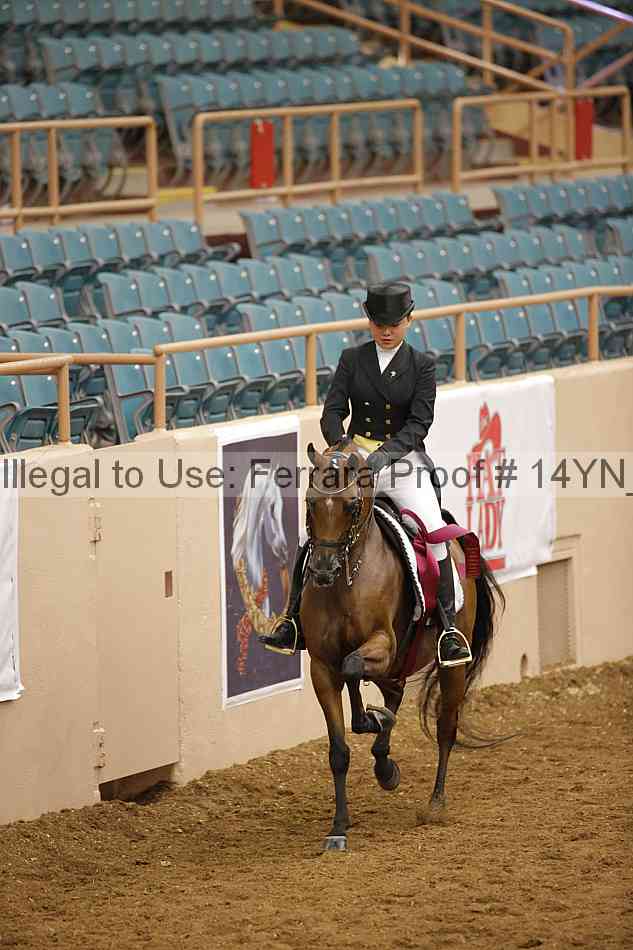 Proof 14yn_28006