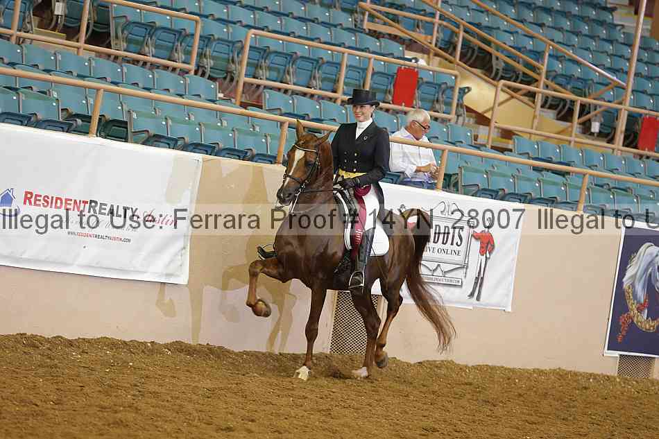 Proof 14yn_28007