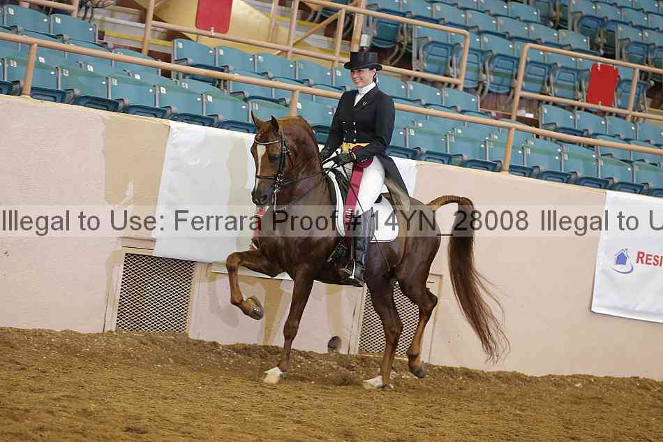 Proof 14yn_28008