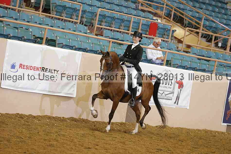 Proof 14yn_28013