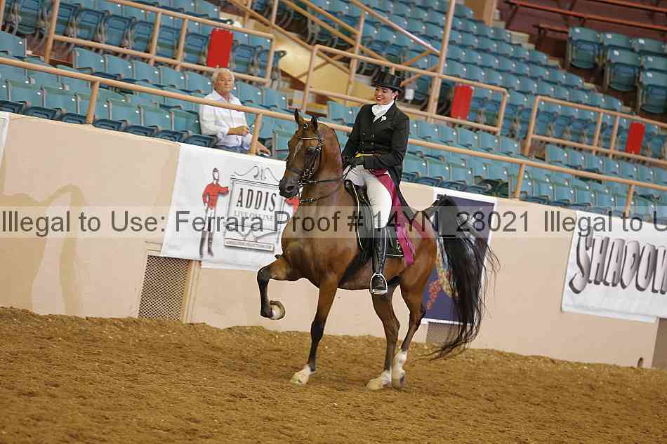 Proof 14yn_28021