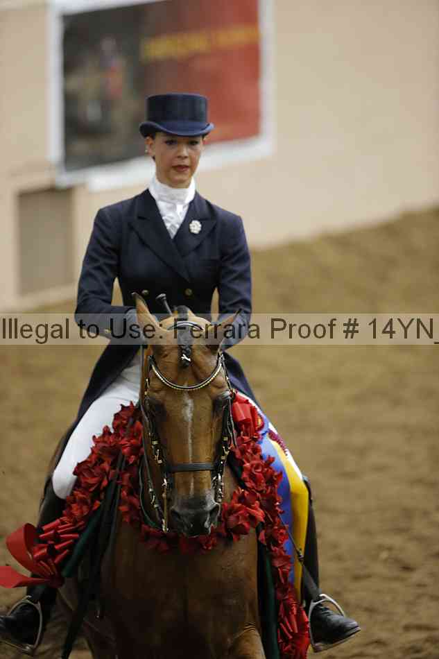 Proof 14yn_28052