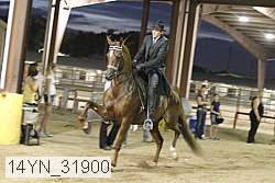 14yn_31900 proof