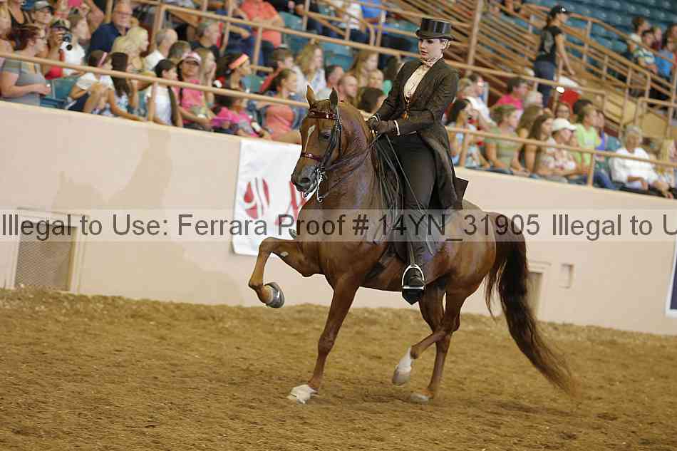 Proof 14yn_31905