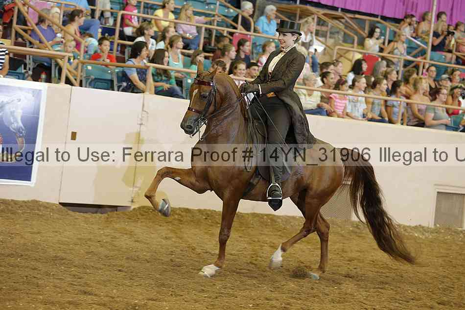 Proof 14yn_31906