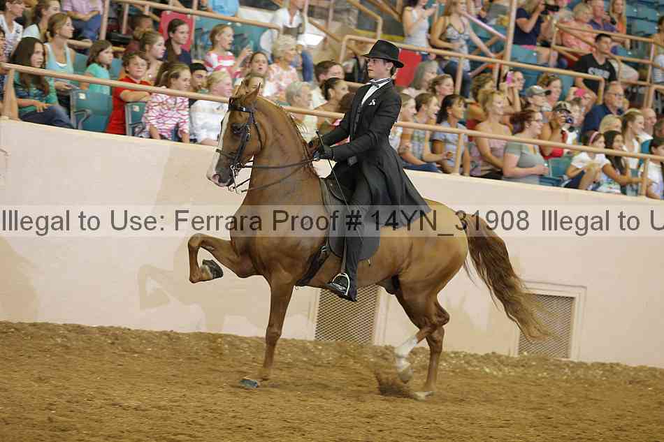 Proof 14yn_31908