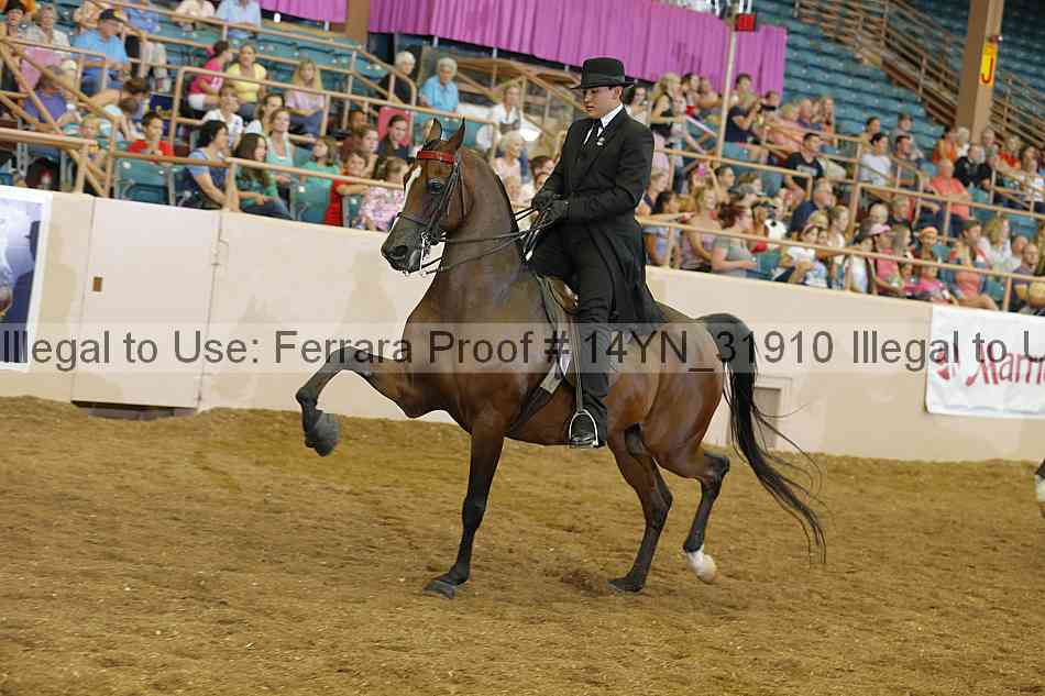 Proof 14yn_31910