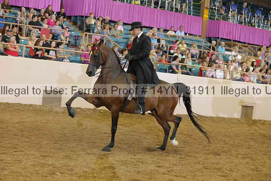 Proof 14yn_31911