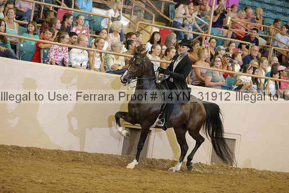 Proof 14yn_31912