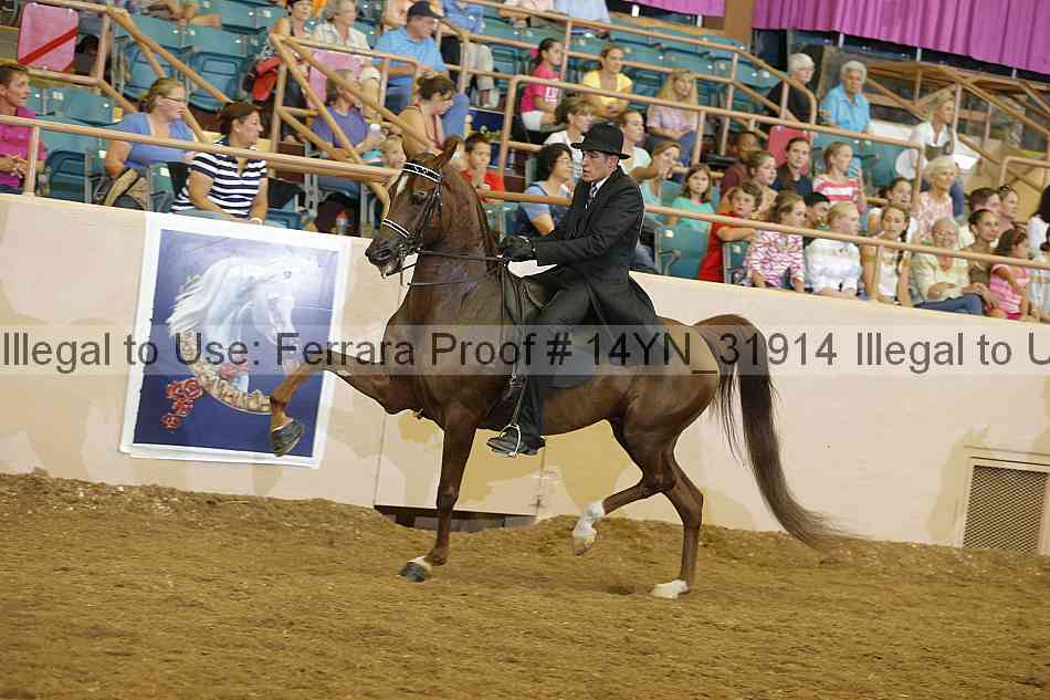 Proof 14yn_31914