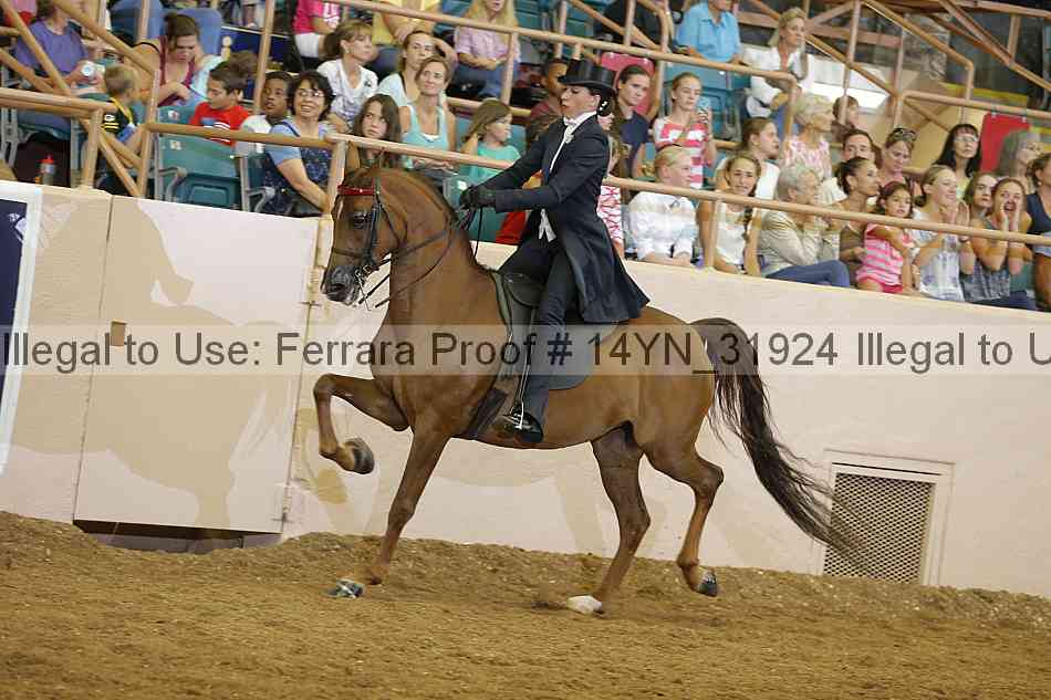 Proof 14yn_31924