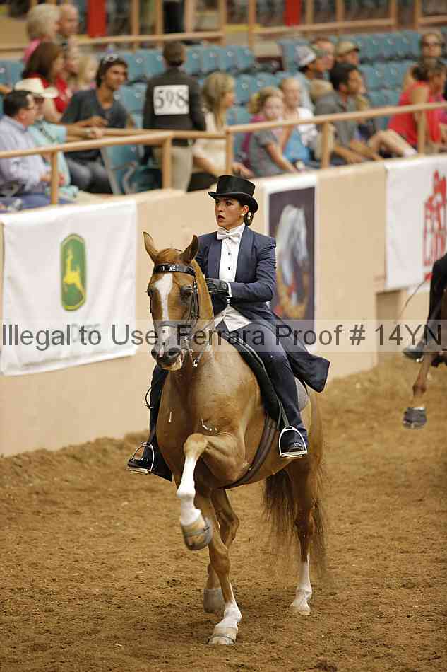 Proof 14yn_31934