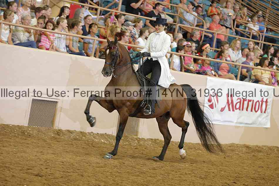 Proof 14yn_31936