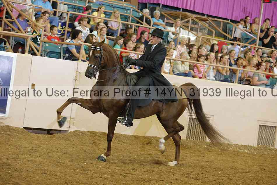 Proof 14yn_31939